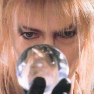 Meet your Posher, Posh